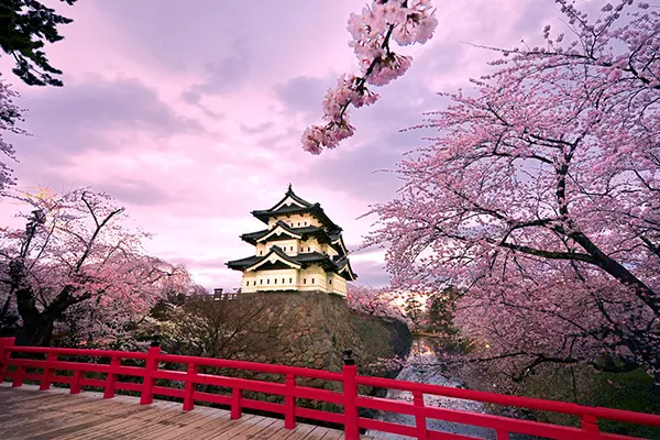 東日本通票