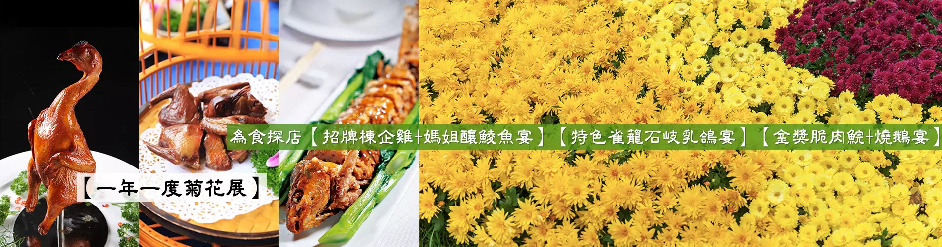 【一年一度菊花展】 為食探店【招牌棟企雞+媽姐釀鯪魚宴】【特色雀籠石岐乳鴿宴】【金獎脆肉鯇+燒鵝宴】