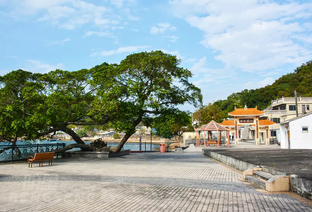 【自然風光】香港世界地質公園「東平洲」、吉澳故事館、大鵬明珠、海鮮風味宴 一天遊 (包團)