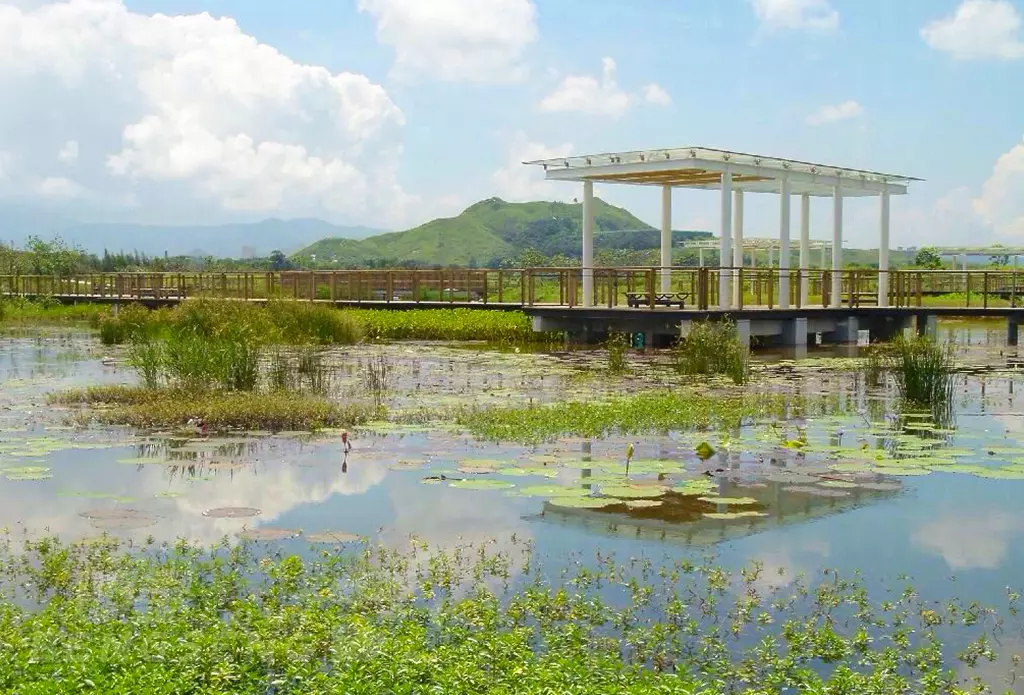 【導賞團】香港濕地公園、朗屏葡萄園、恒香老婆餅廠、流浮山海鮮餐 一天團 (包團)