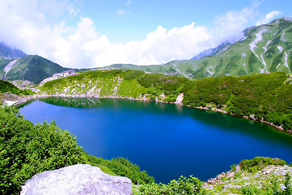 JR阿爾卑斯·高山·松本地區火車證