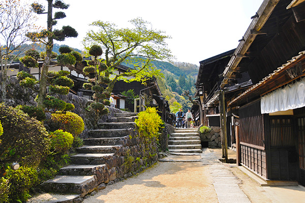 JR阿爾卑斯·高山·松本地區火車證