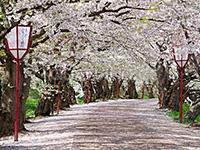 東日本通票