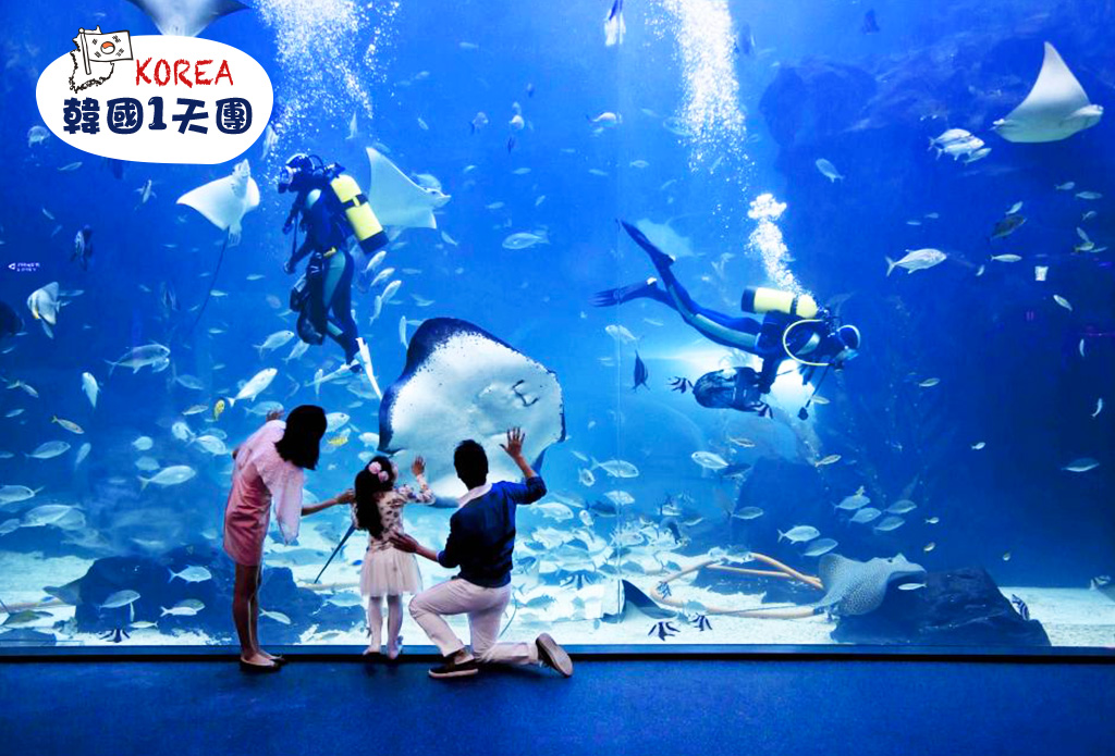 【親子樂園首選】ONE MOUNT水上樂園/冰雪世界 X AQUA PLANET水族館 一天團 (KSF-0113) 首爾出發