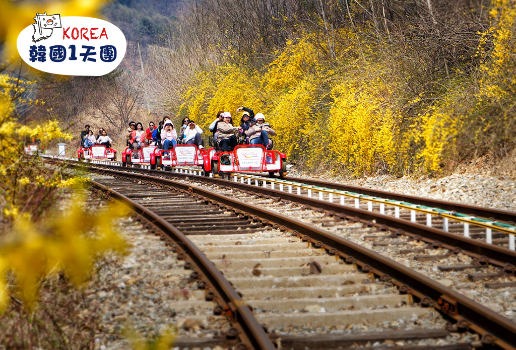 【首爾出發】南怡島 X 江村鐵道腳踏車 X 晨靜樹木園