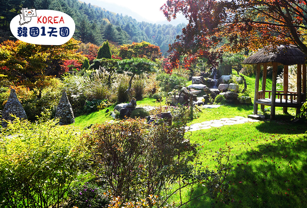 【首爾出發】南怡島 X 江村鐵道腳踏車 X 晨靜樹木園